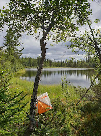 O-løp onsdag 30/8 kl. 18:00 - Nybegynner løype - og ca. 2,5 km og ca. 4 km løyper